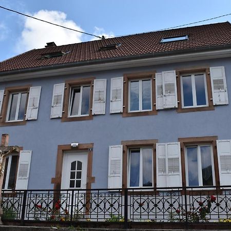 Bleu Seize Apartman Natzwiller Kültér fotó